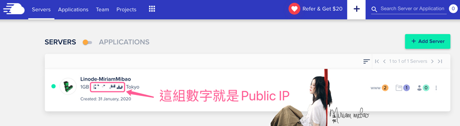 public_ip-google_domain_dns_to_cloudways